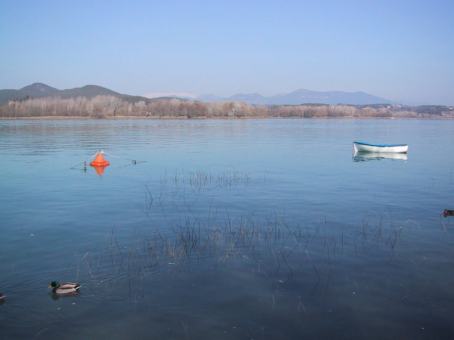 Lake Banyoles